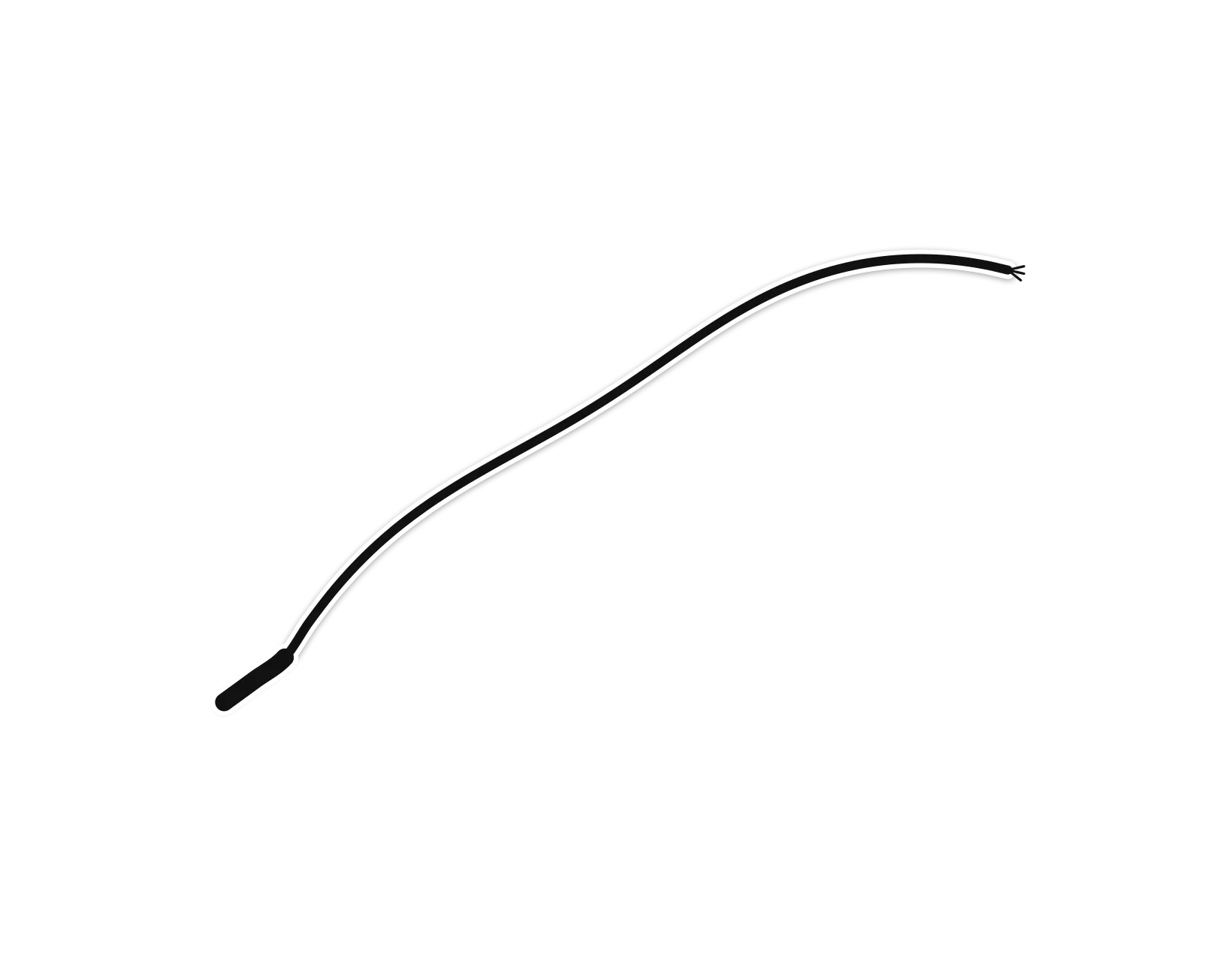 Flick: the whip rendered by the app